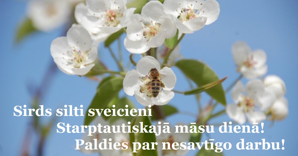 Starpt_maasu_diena_apsveikums.jpg